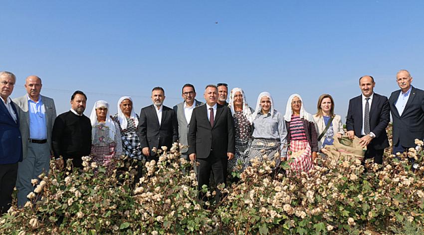 Gelincik ve Sarıgelin'in hasadı yapıldı