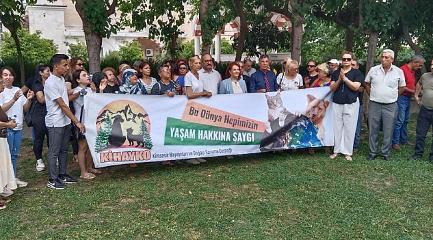 ‘Sokak hayvanları da, hayvanseverler de yalnız değildir’