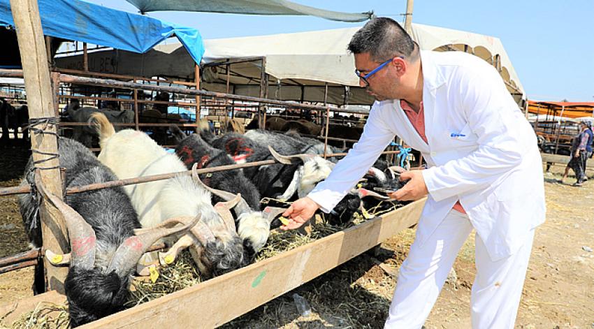 Yüreğir'de kurban satış ve kesim yerleri belirlendi
