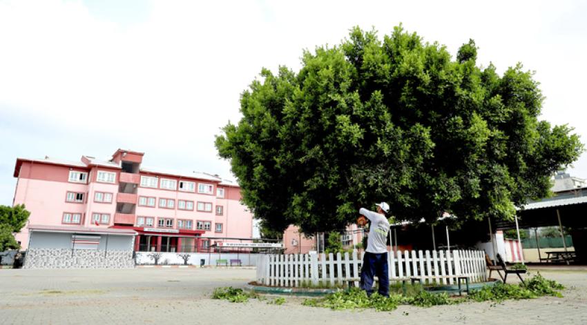 Yüreğir Belediyesi okulları bakıma aldı